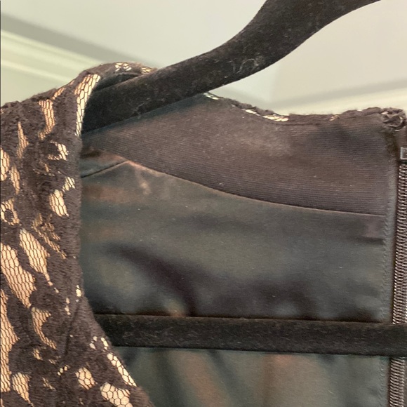 Ted Baker London Black with Nude Underlay Dress - Picture 7 of 7